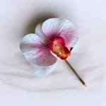EnLazame Orquídea Clip