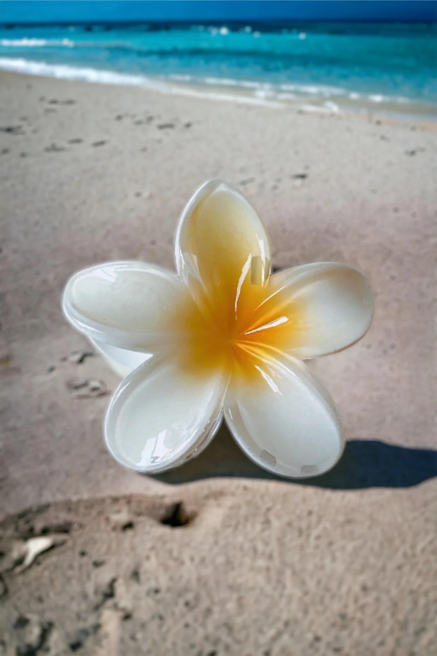 EnLazame Frangipani Gr/Mediano